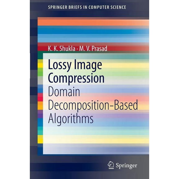 Springerbriefs in Computer Science Lossy Image Compression: Domain Decomposition-Based Algorithms, (Paperback)