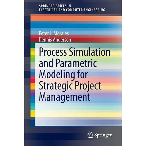 Springerbriefs in Electrical and Compute Process Simulation and Parametric Modeling for Strategic Project Management, (Paperback)