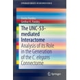 thumbnail image 1 of Springerbriefs in Neuroscience The Unc-53-Mediated Interactome: Analysis of Its Role in the Generation of the C. Elegans Connectome, (Paperback), 1 of 1