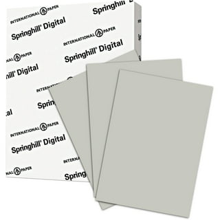 Hamilco Colored Cardstock Paper Gray Bristol Vellum Card Stock for Scr –
