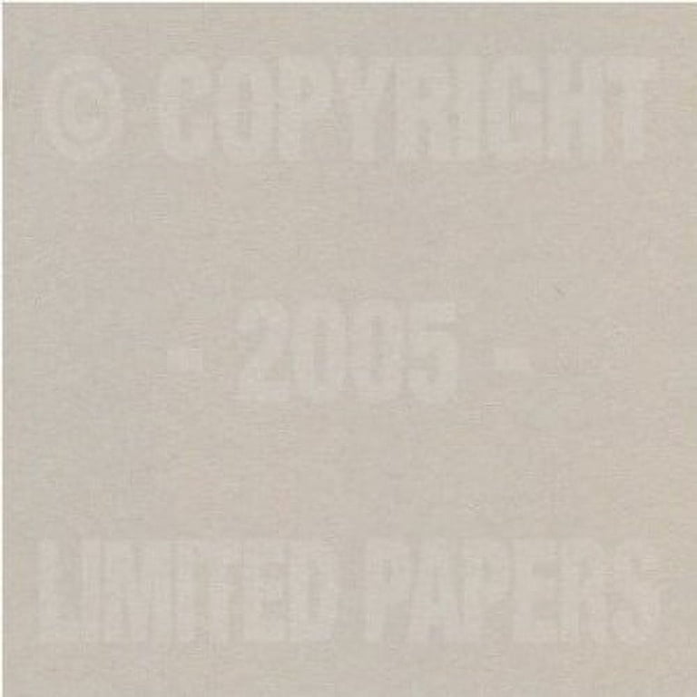 Springhill Vellum Bristol Cover 67 lb, Paper Size 11X17 – 250