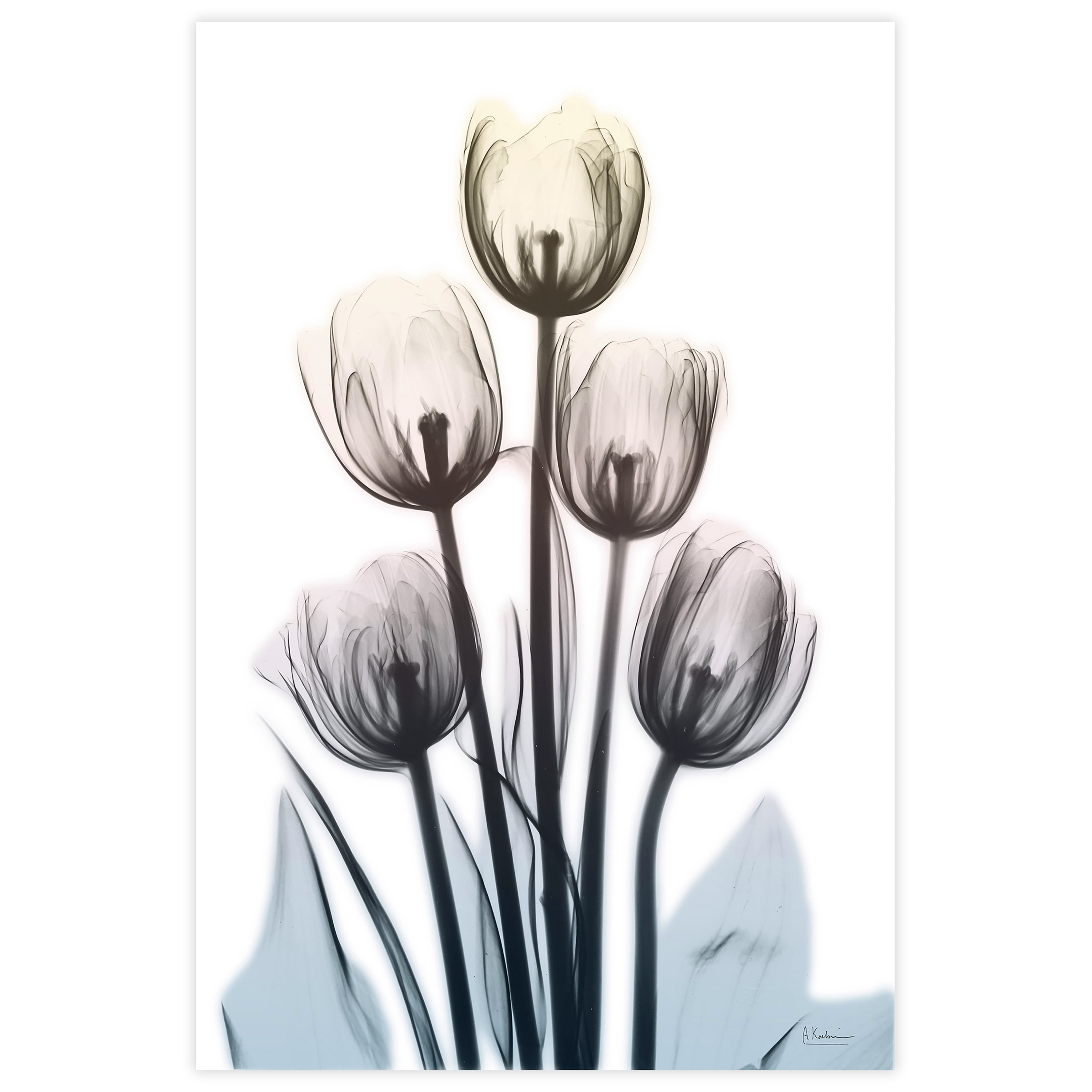 Springing Tulips Frameless Free Floating 32 in x 48 in Painting Art Prints, by Empire Art