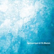Springintgut / F.S. Blumm - Bird & White Noise - Pop Rock - CD