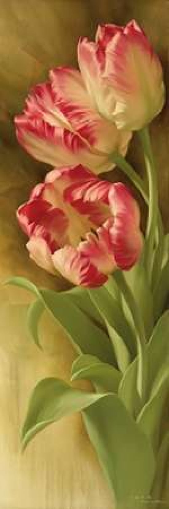 Springs Parrot Tulip I Canvas Art - Igor Levashov (8 x 24)