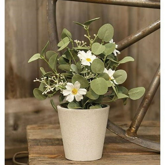 Springsong In Pot, 11"