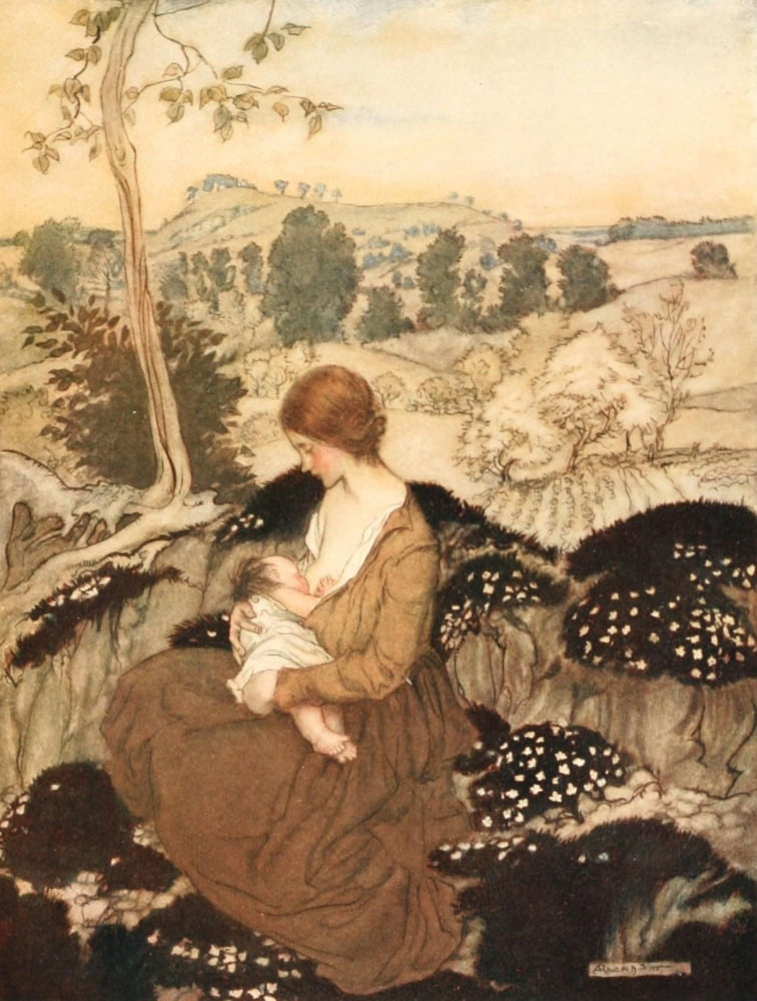 Springtide of Life 1918 A flower of bliss Canvas Art - A Rackham (18 x 24)