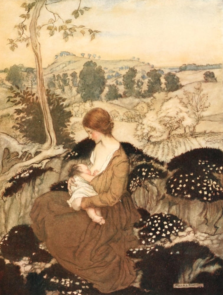Springtide of Life 1918 A flower of bliss Canvas Art - A Rackham (24 x 36)