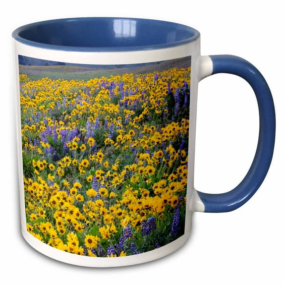 3drose, Springtime Bloom of Flowers, Dalles Mountain State Park, Washington, 15oz Two-tone Blue Mug