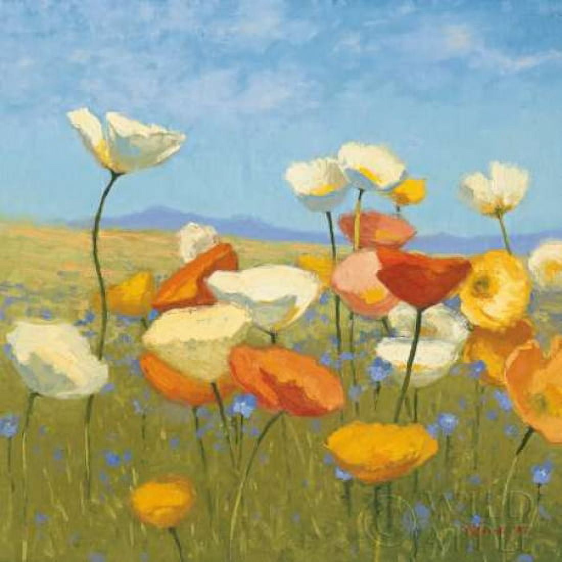 Springtime Meadow I Canvas Art - Shirley Novak (24 x 24)