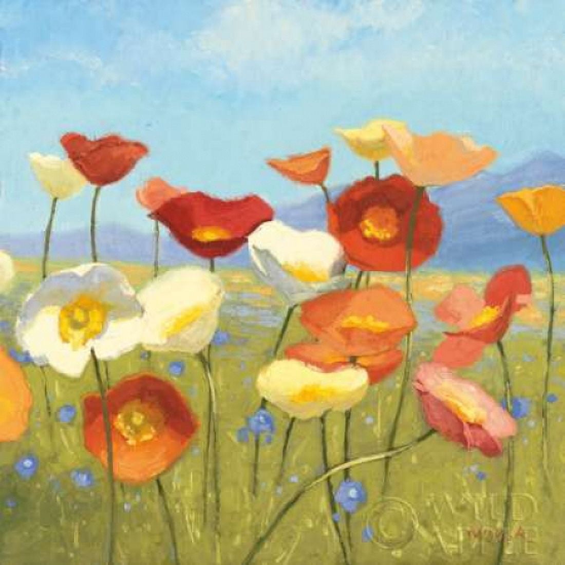 Springtime Meadow II Canvas Art - Shirley Novak (24 x 24)