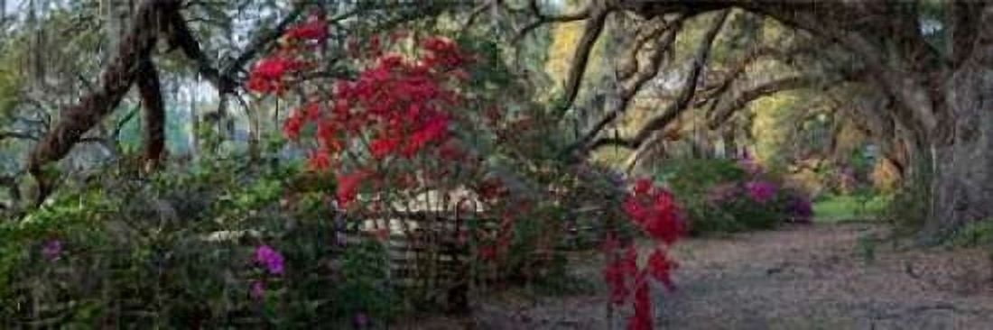 Springtime Morning Canvas Art - HJ Herrera (8 x 24)