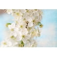 thumbnail image 1 of "Springtime" Painting Print on Wrapped Canvas, 1 of 7