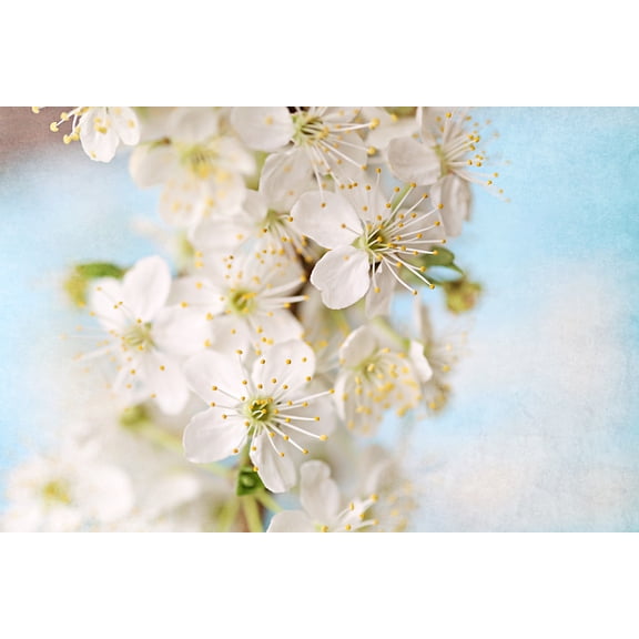 "Springtime" Painting Print on Wrapped Canvas