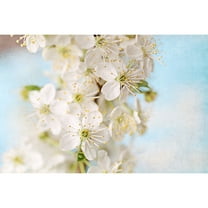 "Springtime" Painting Print on Wrapped Canvas