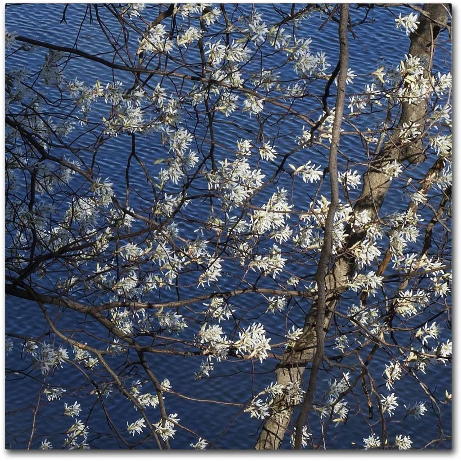 "Springtime at the Lake" Canvas Art by Kurt Shaffer