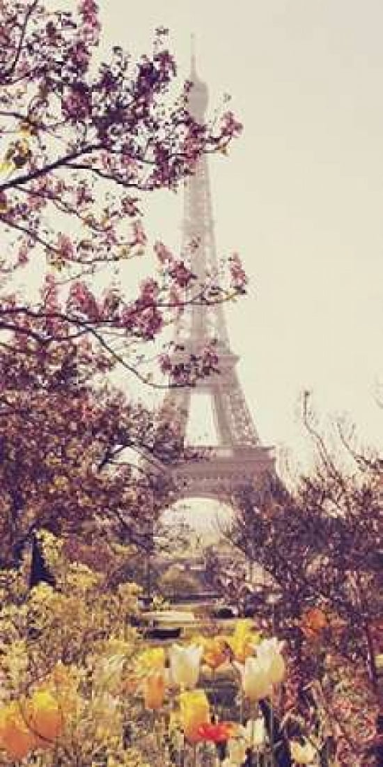 Springtime in Paris Canvas Art - Liz Rusby (10 x 20)
