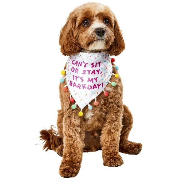 Sprinkled Birthday Bandana Pet Accessory