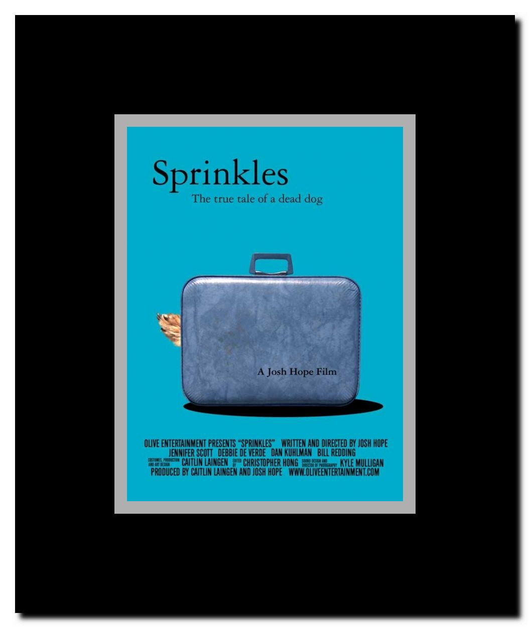 Sprinkles Framed Movie Poster