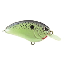 Panneau D'exposition De Leurres Yakima Bait Flatfish - Échantillon Vintage, États-Unis