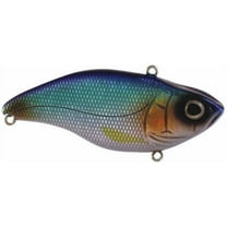 Spro SAS60BSR Aruku Shad Jr. Lipless Crankbait 2" 3/8 oz Blue