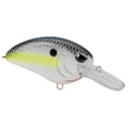 thumbnail image 1 of Spro SLJMTR50NSD Little John MD 50 Rattle, Nasty Shad, Dives 7 to 9ft - SLJMTR50NSD, 1 of 8