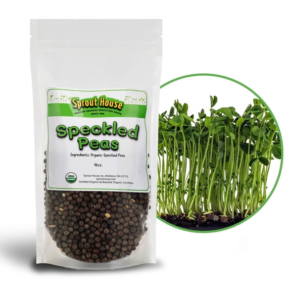 The Sprout House Pea Seed MVR1- Organic Pea, Non-GMO, High Germination Sprouting Seeds for Nutritious Pea Shoots, Resealable Bag for Freshness, Perfect for Smoothies & Salads, 1LB