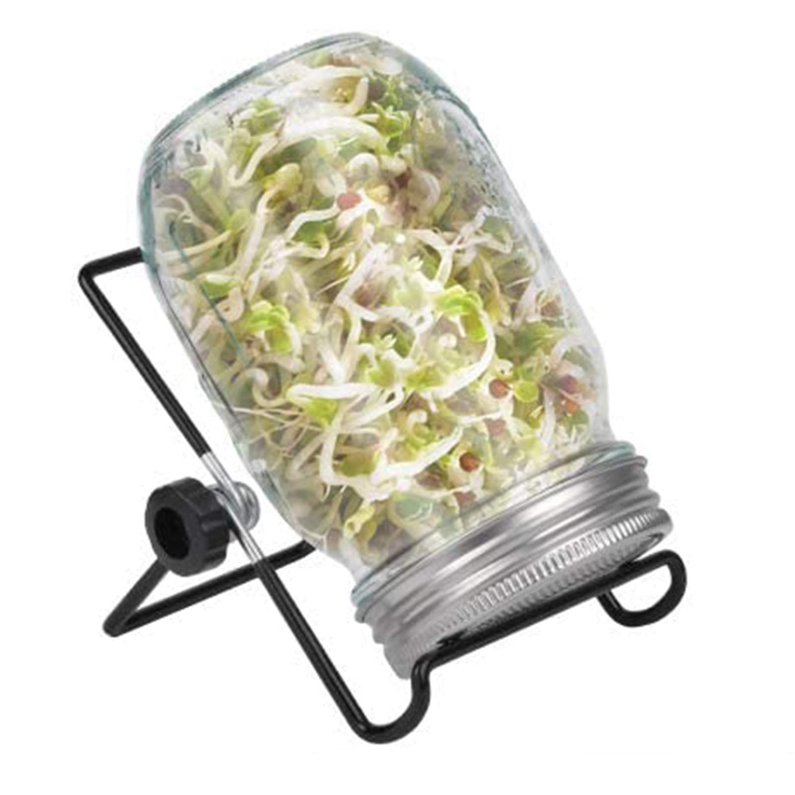 Sprouting Jar Kit, Wide DHF10 Mouth Quart Mason Jars Sprout Lids
