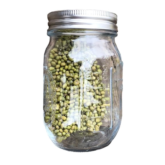 Sprouting Jar with 304 Stainless Steel Screen Lid Wide Mouth Mason Sprouter Germinator for Organic Alfalfa Bean