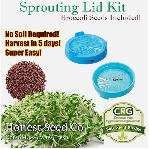 Sprouting Lid Kit w/ Broccoli Seeds | Non-GMO | Includes 2 BLUE Lids + Broccoli Seeds