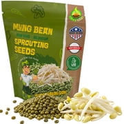 Sprouting Seeds Mung Bean 1 Pound - Todds Seeds