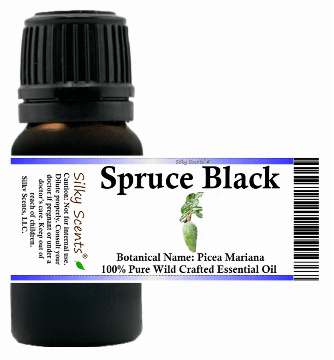 Spruce Black Wild Crafted Essential Oil 10 ml (1/3 fl oz) - 100% Pure and Natural by Silky Scents