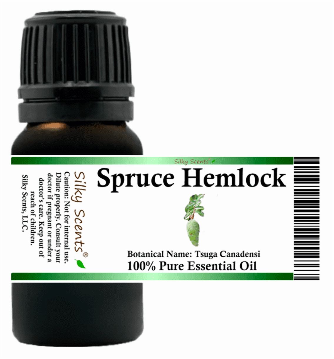 Spruce Hemlock Essential Oil 5 ml (1/6 fl oz) - 100% Pure and Natural by Silky Scents