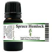 Spruce Hemlock Essential Oil