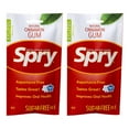 thumbnail image 1 of Spry On The Go Natural Xylitol Chewing Gum, Aspartame-Free, Sugar-Free, Cinnamon, 55 Pieces, 2 Pack, 1 of 2