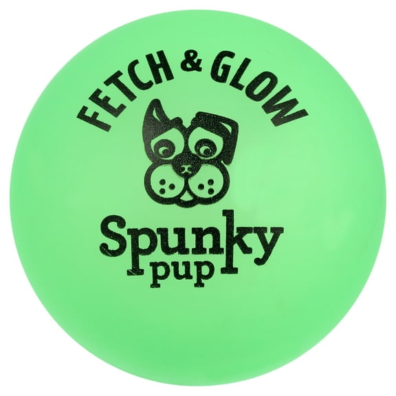 Spunky Pup Fetch & Glow Ball Medium Dog Toy