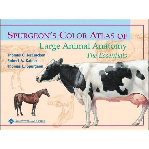 Spurgeon's Color Atlas of Large Animal Anatomy: The Essentials (Paperback)