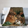 thumbnail image 1 of Spxubz Easter Flannel Throw Blanket With Cute Rabbits Design For Gift Home Sofa Bed Decoration 50x40 inch, 1 of 5