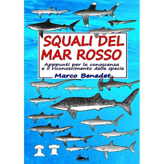 Squali del Mar Rosso, (Paperback)