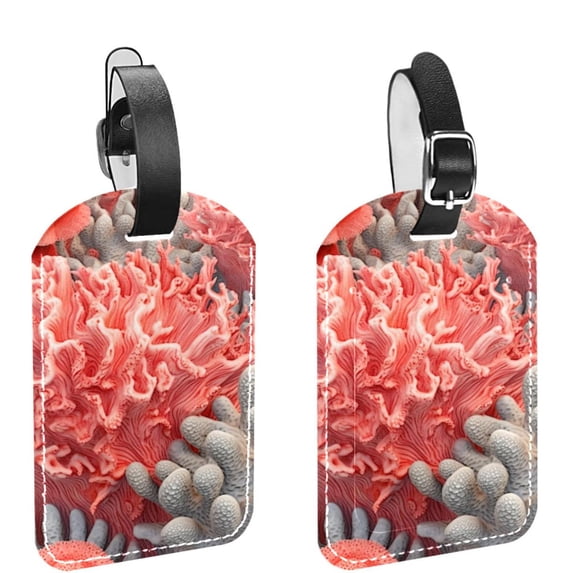 Square 2Pack PU Leather Coral Cruise Luggage Tag with Privacy Cover and Name ID Tag for Travel Handbags Backpacks Luggage Tags