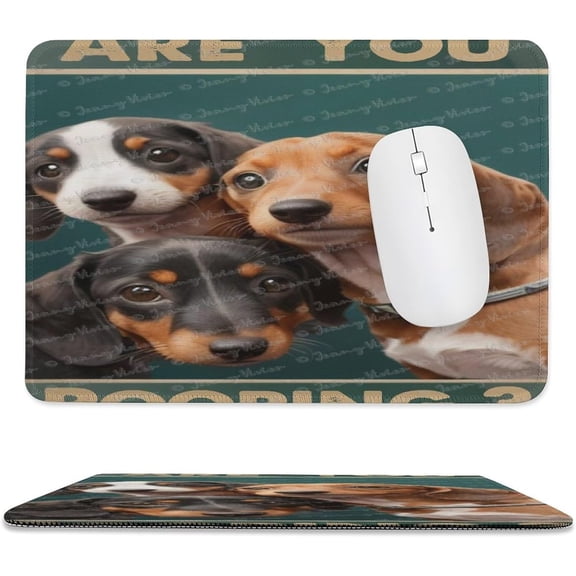 Square Computer Mouse Pads, Washable Mouse Mat, Office Home Gaming Non-Slip Rubber Base Mouse Pad, Bless This Home, Funny Dog Printed, Humor Bathroom Saying, 8x10 Inch