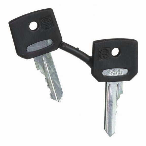 Schneider Electric Set of Keys,Replacement,22mm ZBG455