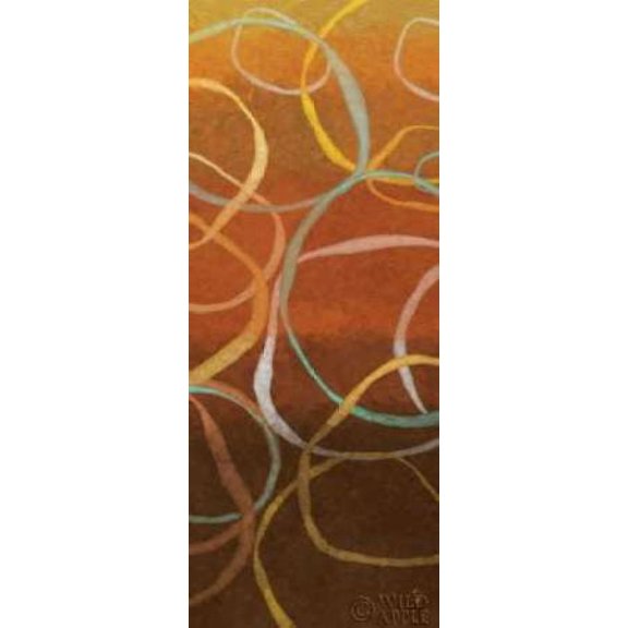 Square Dancing Circles II Canvas Art - Sarah Adams (24 x 48)