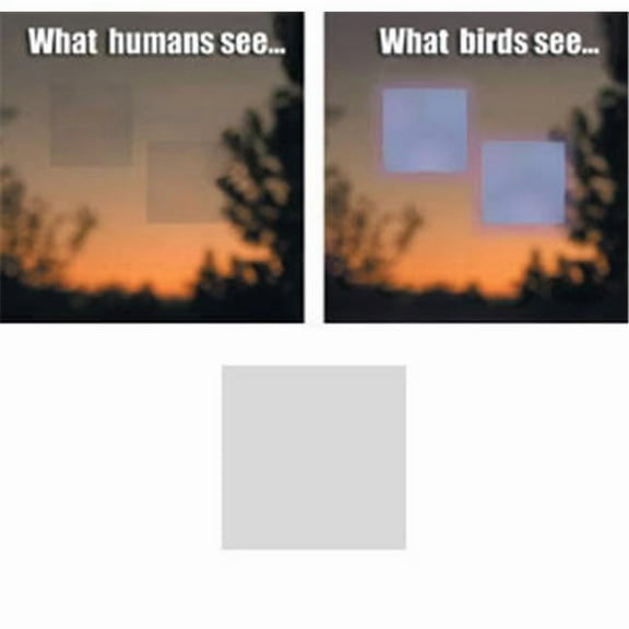 Square Decal help prevent wild birds from accidentaly striking windows