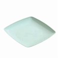thumbnail image 1 of Square Dinner Plates, Plastic Picnic Plates Reusable, Square Dessert Snack, Lunch Appetizer Salad Plates, Kitchen Dinnerware Dishes for Camping Party Grill, 1 of 5