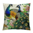 thumbnail image 1 of Square  Fabric Throw Pillow Cushion Cover Peacock Pattern Peacock Feathers Double Sides Various Size  (C-13), 1 of 5