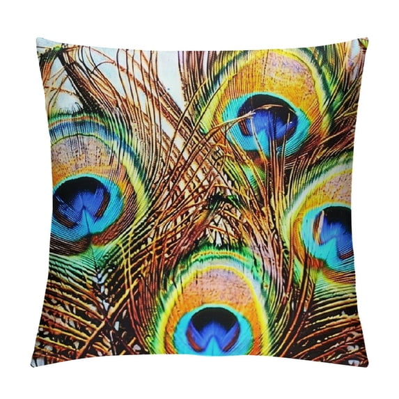 Square Fabric Throw Pillow Cushion Cover Peacock Pattern Peacock Feathers Double Sides Various Size (C-4