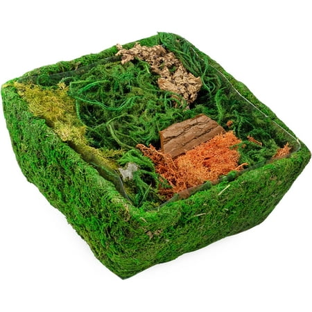 Square Fairy Garden Display, DIY Dried Moss Enchanted Landscape Terrarium Starter Kit