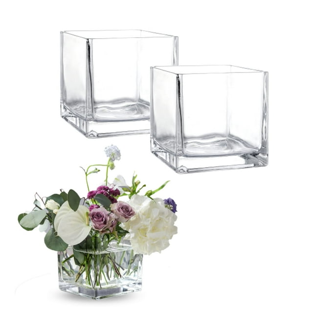 Square Glass Cube Vase 6" Set of 2