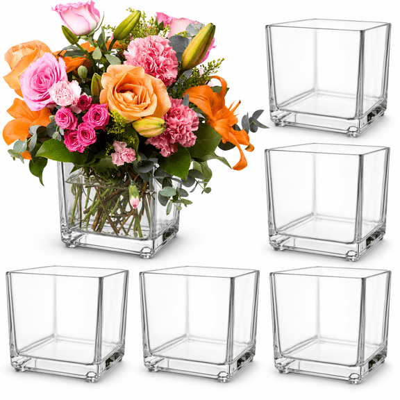 Square Glass Vases 6 Pack 4.7 Inch Cube For Centerpieces And Decor