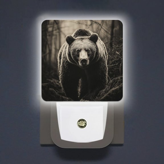 Square LED Night Lights Lamp with Dusk to Dawn Sensor, Strong Bear Through The Forest Night Light Plug Into Wall for Kids Room, Bedroom, Bathroom, Kitchen, Hallway